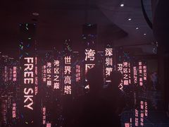 -平安金融中心云际观光层