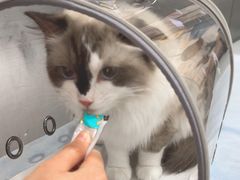-中农国际动物医院24小时·猫科·骨科·急重症中心