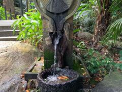-呀诺达热带雨林