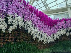 -石家庄市植物园