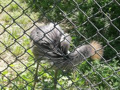 -石家庄市动物园