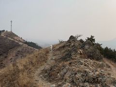 -乌素图国家森林公园