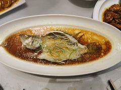 -上海精菜馆(虎踞关店)