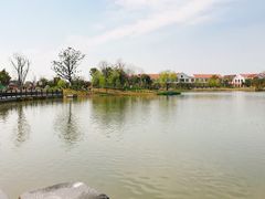 -上海长兴岛郊野公园