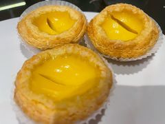 -食为先(Shark Fin)
