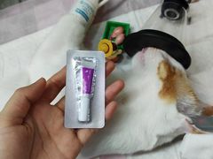 -御宝贝·A梦猫科宠物医院(国际猫友好医院)