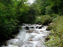 -黑河国家森林公园