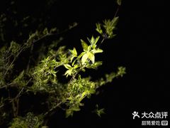 -海棠花溪(元大都城垣遗址公园)