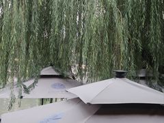 -舒羽咖啡(运河店)