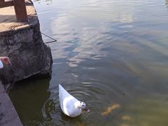-金山植物公园
