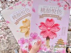 -桃花堤公园