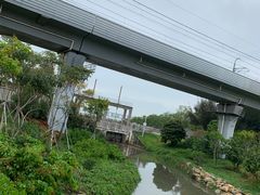 -宝安西湾红树林湿地公园