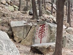 -泰山风景名胜区