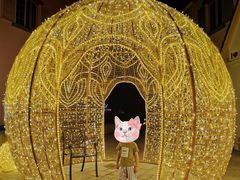 -大塘金香草谷