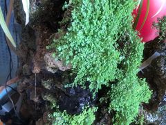 -哈老太太(联盟路店)