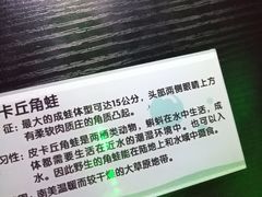 -石家庄海洋公园
