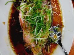-美心皇宫(屯门大会堂店)