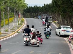 -养马岛旅游度假区