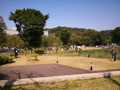 -牛岗山公园
