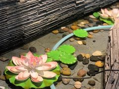 -一只烧鸡公(解放碑店)