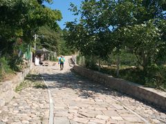 -大岭沟猕猴桃谷风景区