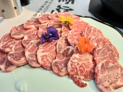 -卜奎烤右