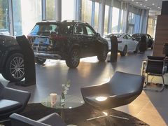 -奔驰利星行(北京花乡店)