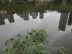 -重庆彩云湖湿地公园
