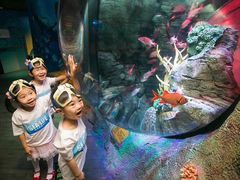 -沈阳海洋探索中心