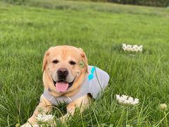 -芭比堂动物医院·犬猫全科·异宠专科(雁塔分院)