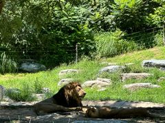 -北京野生动物园