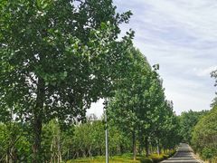 -仙海旅游度假区