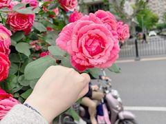 -徐家汇公园