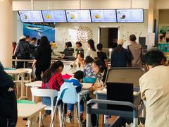 大堂-贝林大翅鲸简餐厅(国家海洋博物馆店)