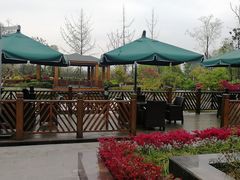 -成都安仁福朋喜来登酒店