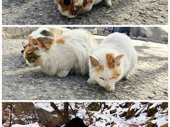 -华山风景名胜区