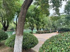 -天鹅湖体育公园