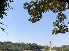 -东莞植物园