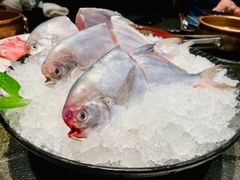 东海鲳鱼-荣记火锅(青悦城店)