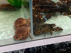 -盒马鲜生(新都心店)
