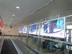 -哈尔滨太平国际机场