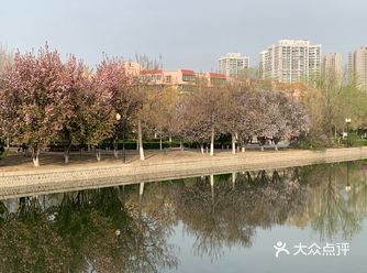 天使公园，坐落在靖江桥旁，沿河远远望去一片郁郁葱葱