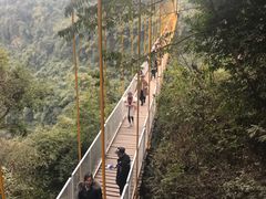 -川西竹海景区