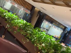 -徐记海鲜(阿波罗店)