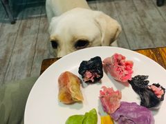 -百好乐宠物友好餐厅(朝外大街店)