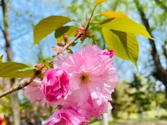 -长白岛森林公园