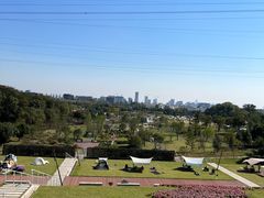 -佛手湖郊野公园