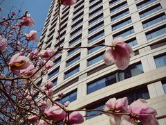 -宁波香格里拉大酒店