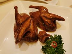 -利苑酒家(合景国际金融广场店)