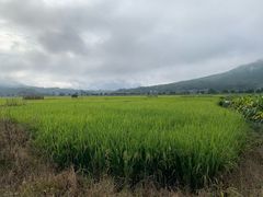 -迎懿餐厅